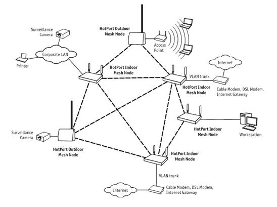 network3103